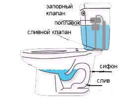 «Почему течёт слив унитаза до повторного нажатия кнопки?» — Яндекс Кью
